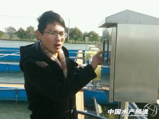 农村鱼塘养鱼新模式,一亩鱼塘规模化养鱼