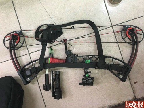 偷猎黑猪被刑拘,夫妻俩非法狩猎8头野猪被判刑