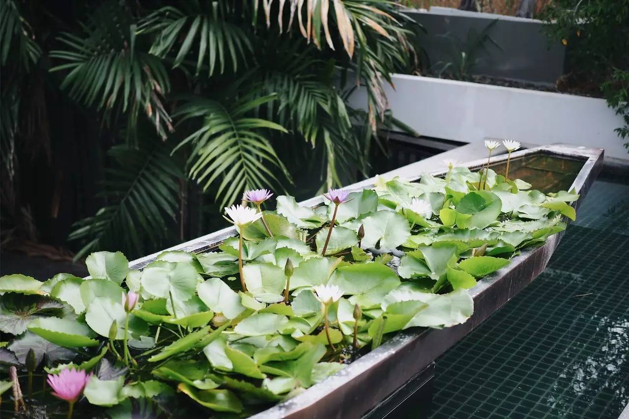 曼谷最近的海边小镇,离曼谷最近的海滨城市