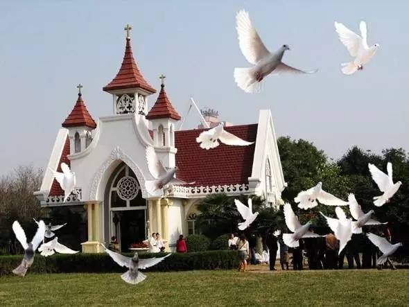 南京骑车一日游玩攻略,南京纯玩一天游攻略