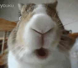 调味品放冷藏不方便,调味品放多了怎样补救