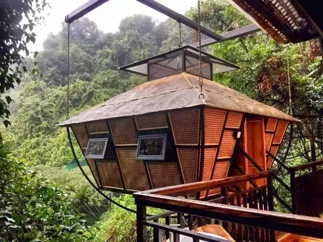 惊！艳！清远这片森林惊现空中吊屋！来过你再也不想回家