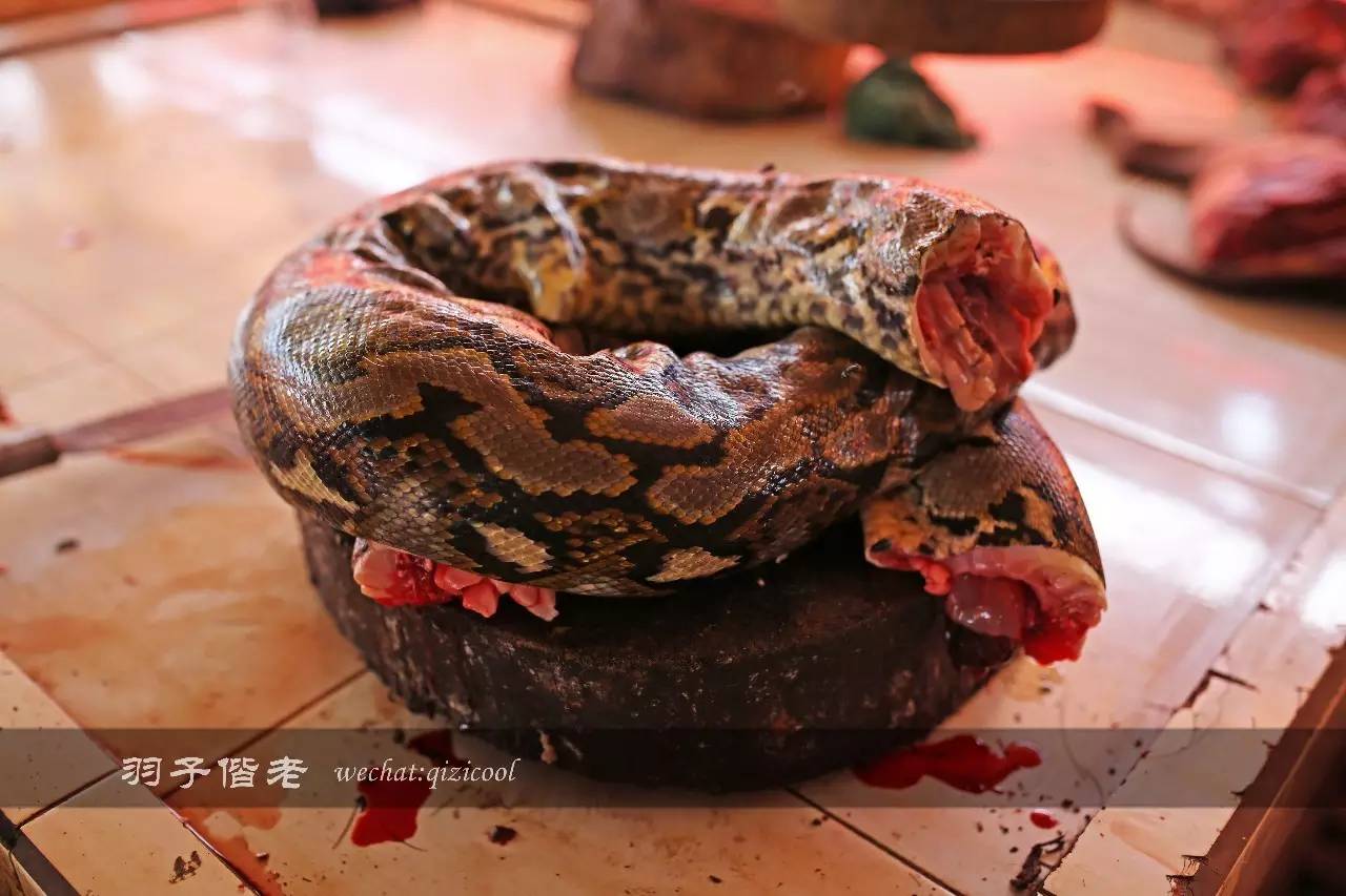 印尼美娜多游玩攻略,美娜多旅行攻略