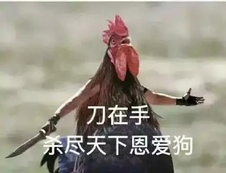 各大牌鸡年限定,外国人对鸡看法