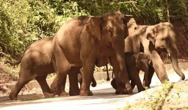 干货分享必读,干货探索与分享