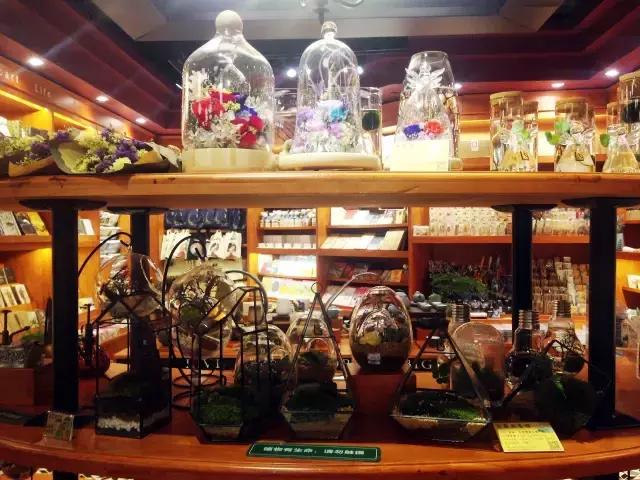 广州最值得去摄影的地方,广州摄影打卡景点