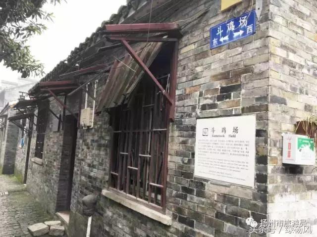 老扬州也不知道!扬州竟然有这么多和鸡有关的东东!