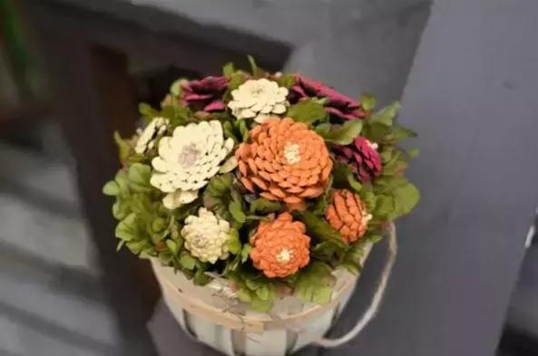 原来松果还可以这么美,原来红杉树也可以很美