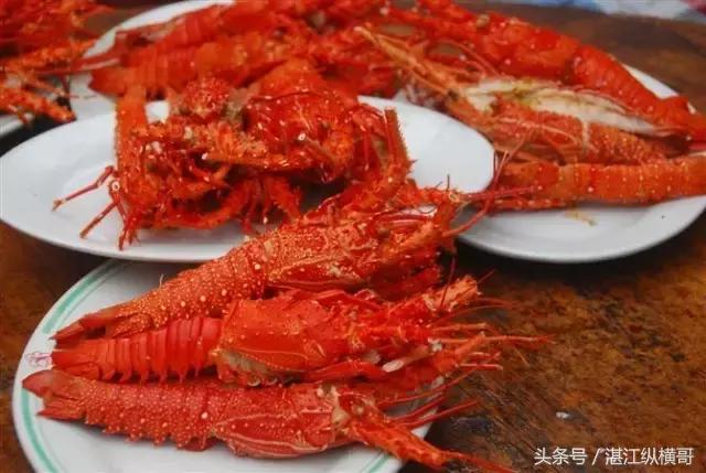 康王为什么会被杀,康王是正规的吗