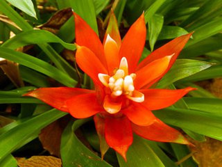 十二生肖财运和命运的区别在哪,十二生肖的喜忌与运气解读