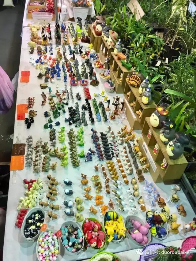 春节花市的鲜花,春节能看花的植物