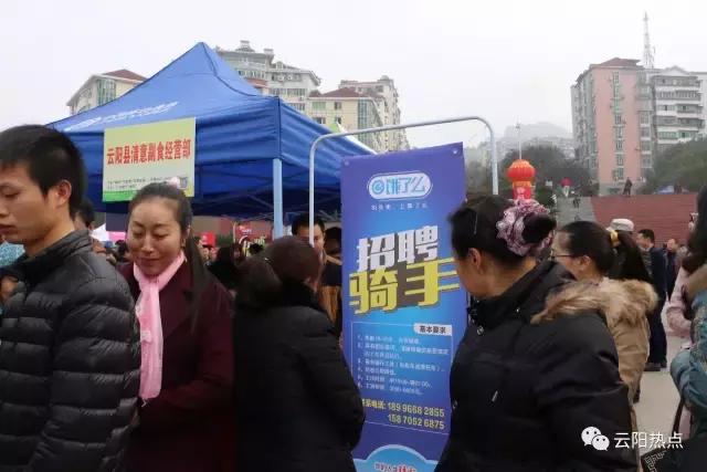 云阳公益性岗位招聘,云阳县2024年人才引进