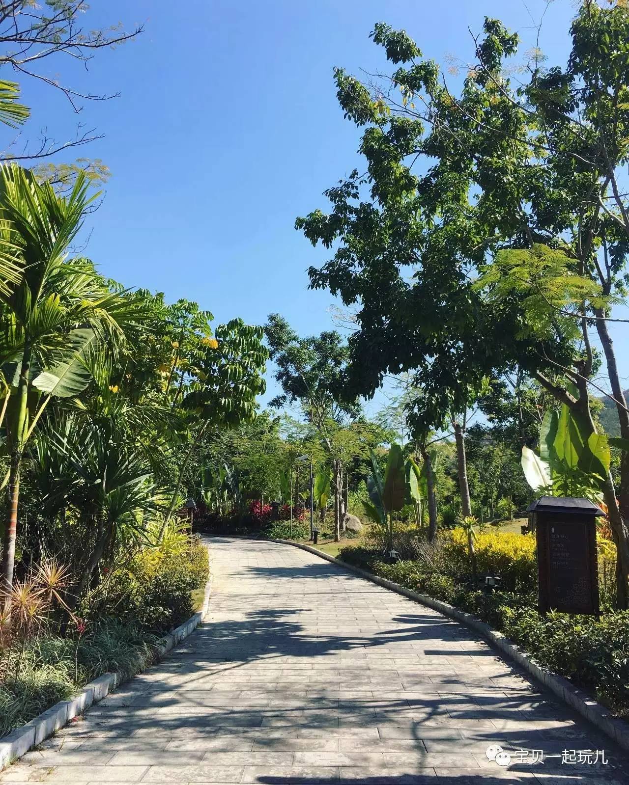 老娘的青春那么短，花点钱开心又何妨