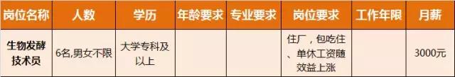 淮南人才招聘时间表,淮南最新招聘岗位有哪些