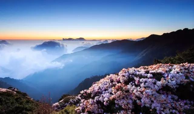 春风里，大爱罗田！