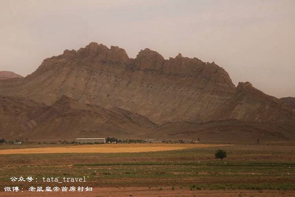 伊朗的公交车,伊朗公交车规定