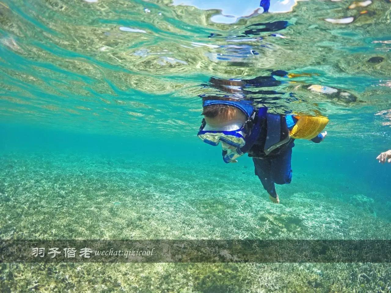 美娜多海岛一日游,印尼美娜多跟团游