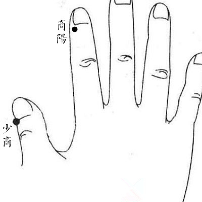 字里藏医课程,字里藏医视频