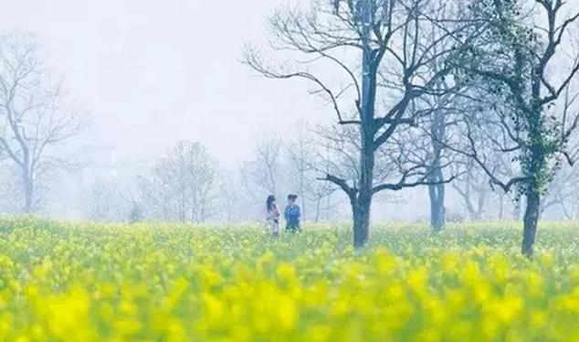 春风里，大爱罗田！