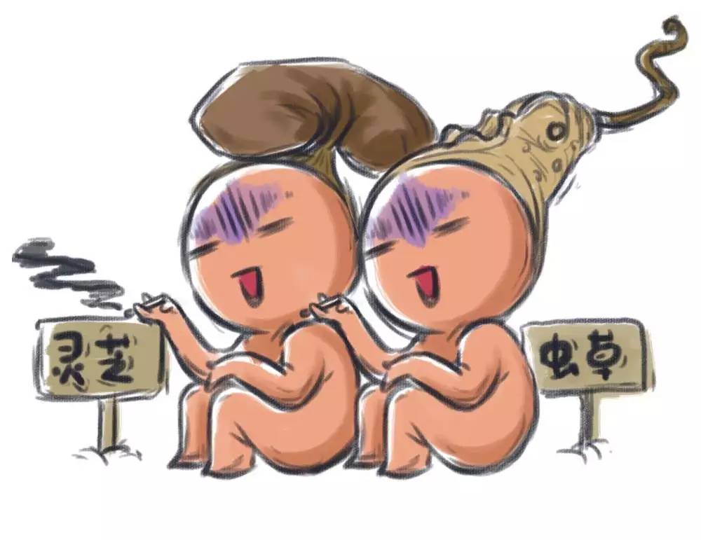 鹿茸灵芝人参酒有副作用吗,鹿茸喝完身体会有什么反应