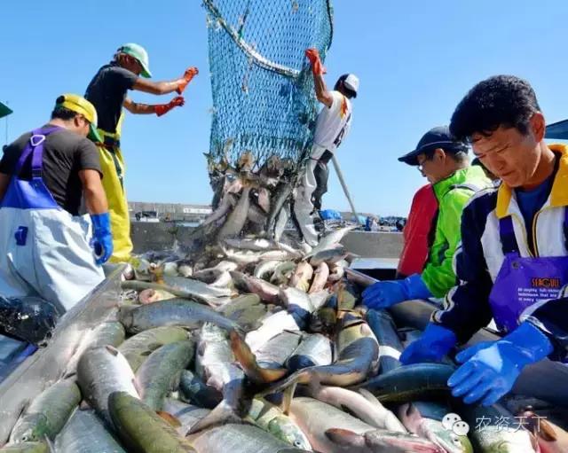 日本:一家一户的小农化也能实现机械化