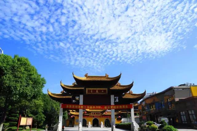 过年上海周边旅游最值得去的地方,上海假期周边旅游攻略大全