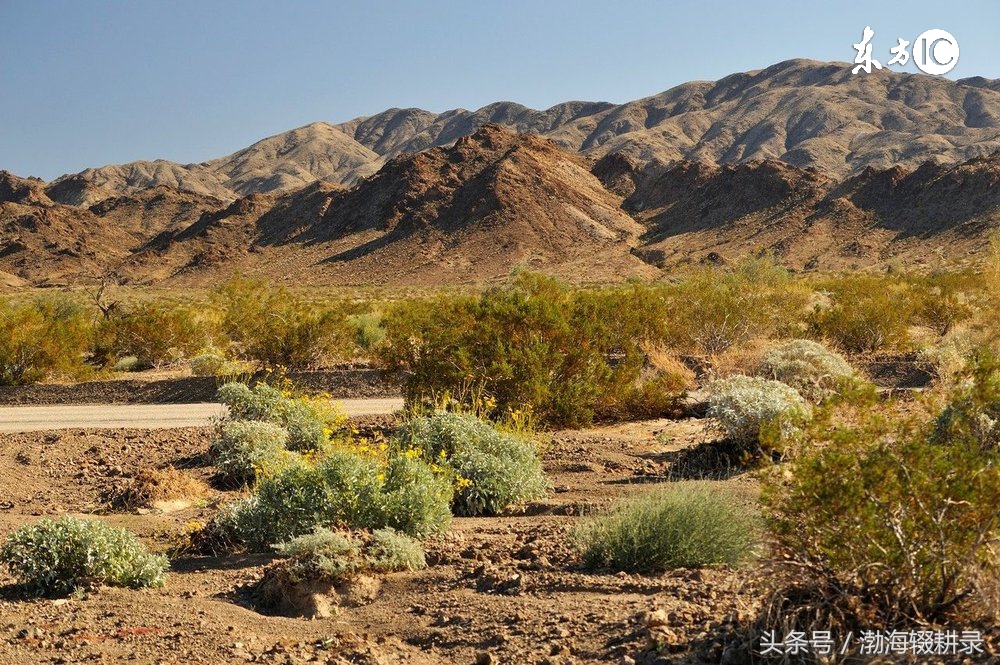 八字命理不好如何补救,生辰八字的命理基础知识