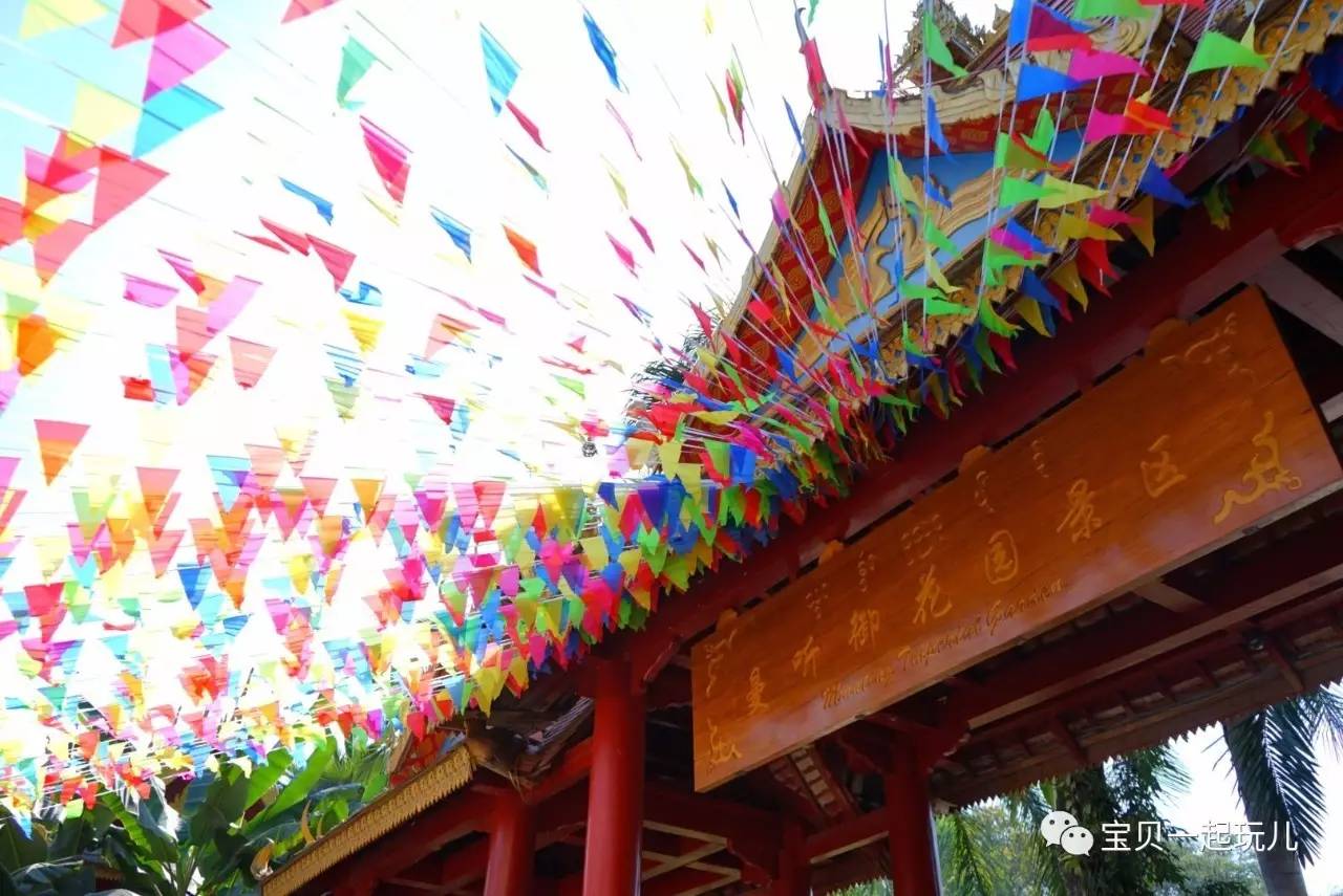 老娘的青春那么短，花点钱开心又何妨