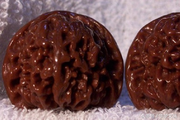 狮子头容易红吗,白狮子头很轻能玩出来吗