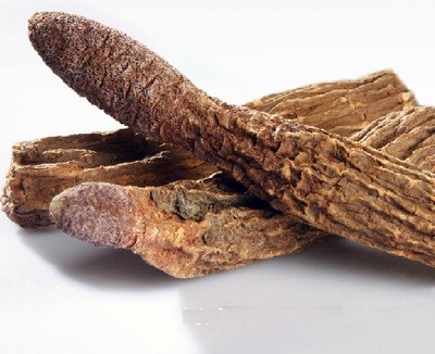 中医锁阳的功效,药食同源补肾壮阳