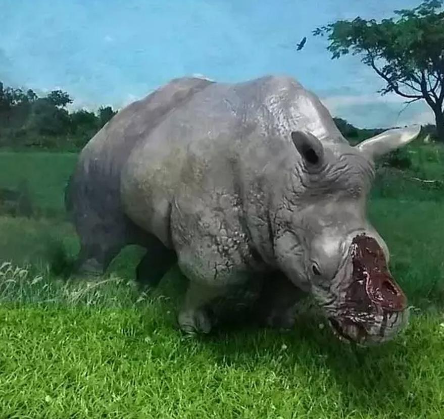 唤醒人类：3D打印真实还原犀牛角被割下后惨烈场景