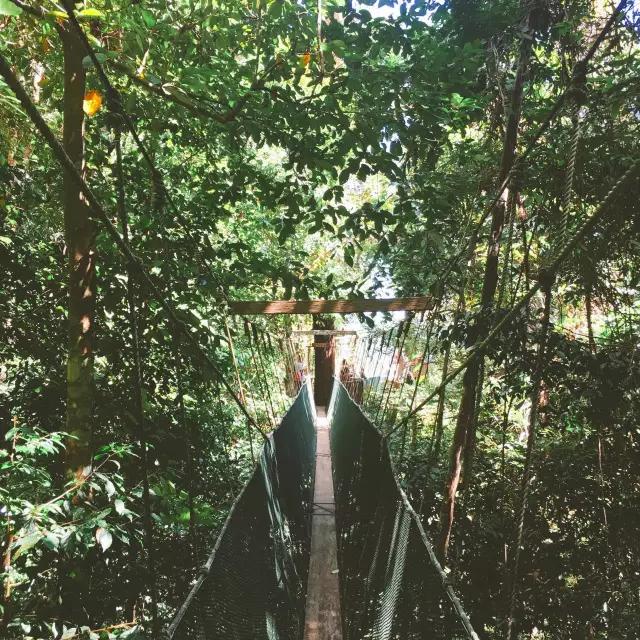 沙巴跳岛一日游,沙巴高品质旅游体验攻略