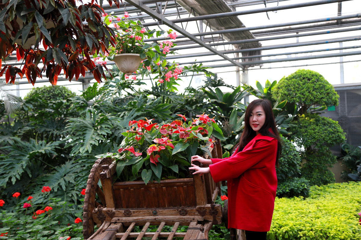 2万元小本创业做什么好,2020小本生意赚钱好项目