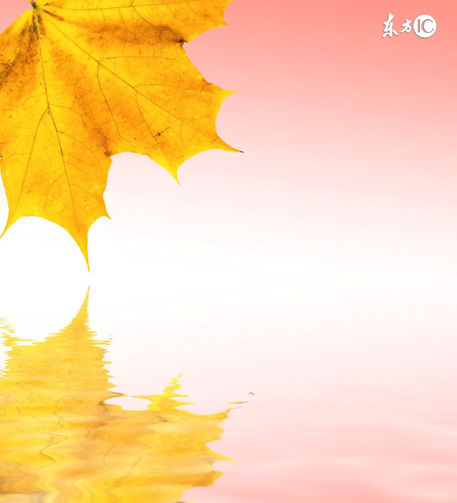 麂子报恩的故事动画,鹿子报恩的故事