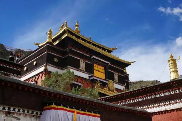 *藏西**魔女图：教你认识不一样的*藏西**