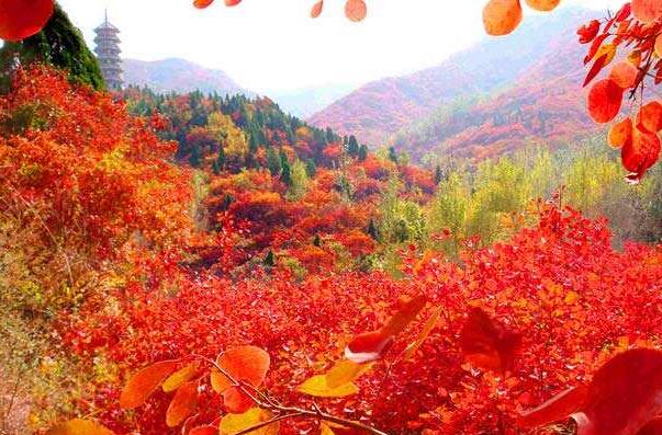 济南有什么好玩的景点啊,济南附近好玩的地方景点免费