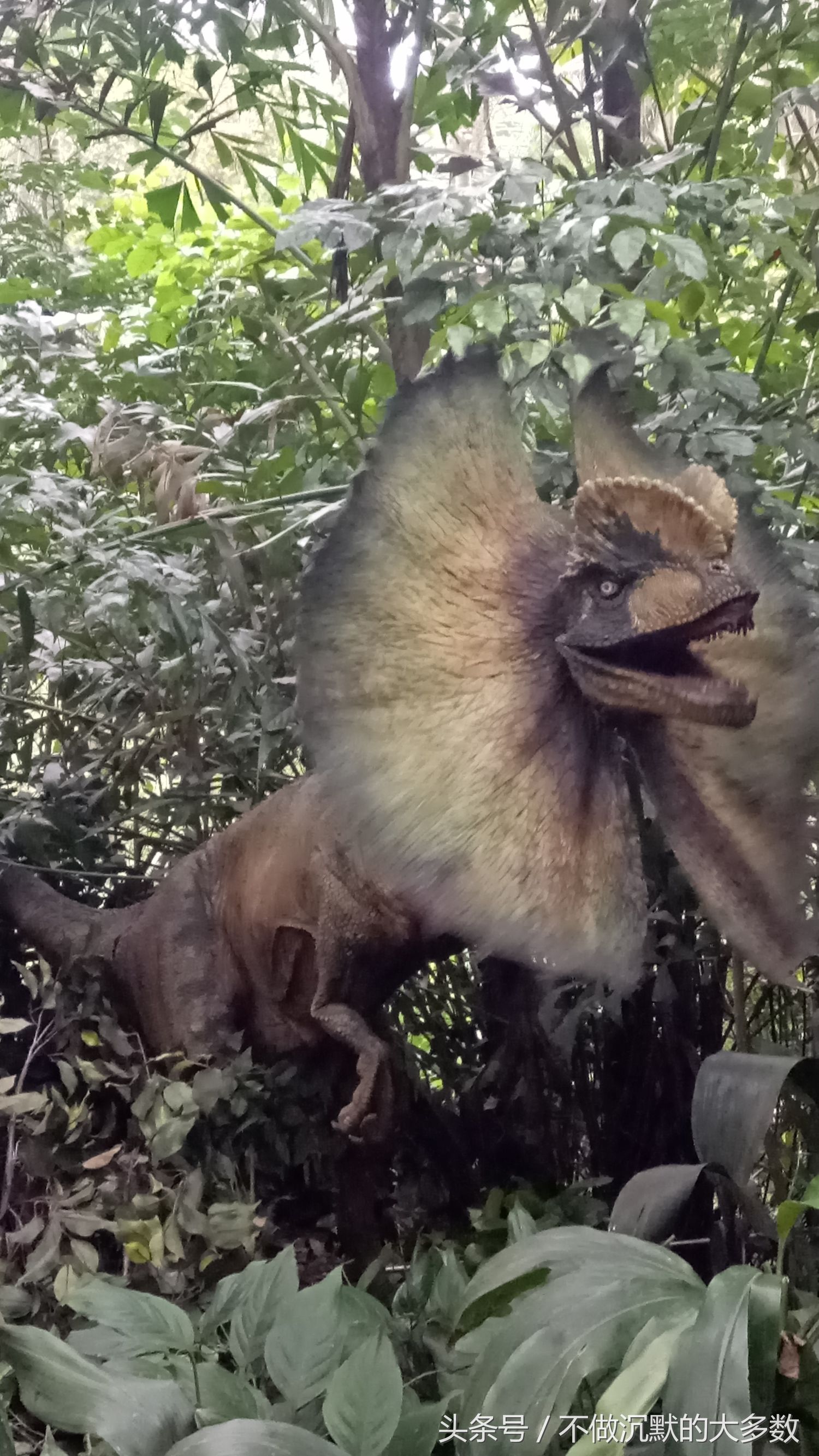 长隆野生动物园金蛇秘境有毒蛇吗,长隆野生动物园金蛇秘境怎么走