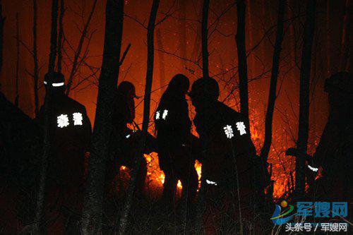 战前沿精兵护生态育忠魂情洒大青沟