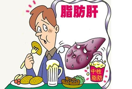 脂肪肝食疗偏方有哪些,脂肪肝非药物治疗