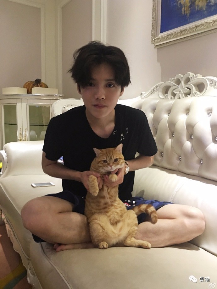 我有“猫”病，请问你有药吗？