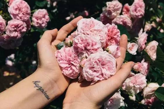 女魔头设计效果图,女生小清新简单纹身教程