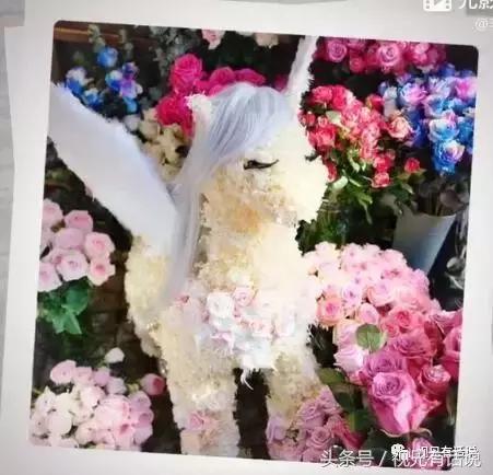 明星情人节礼物,明星情人节礼物一览表