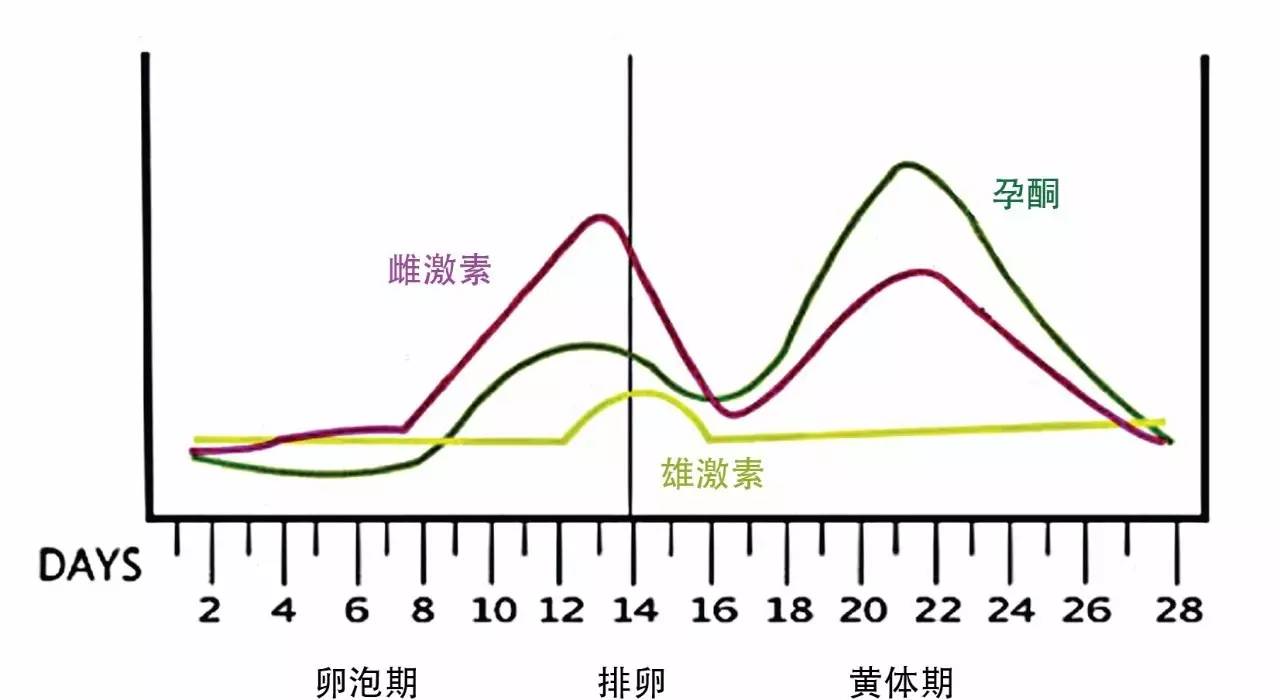 封闭抗体为啥不能治了,封闭抗体阴性导致反复着床失败吗
