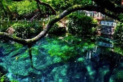 昆明大理丽江自助游旅游攻略,云南大理旅游攻略自由行路线