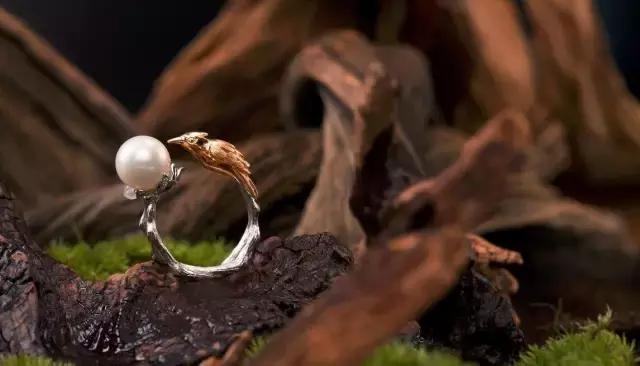 林心如舒淇董卿章子怡姚晨,林心如李小冉舒淇章子怡