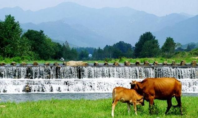 春风里，大爱罗田！