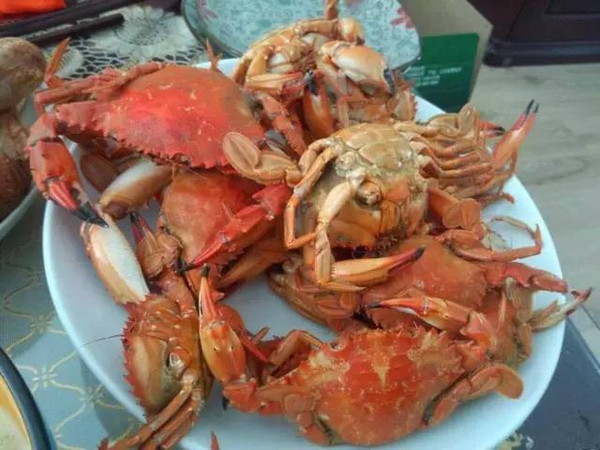 秦皇岛海鲜吃到爽,秦皇岛海港区吃海鲜靠谱便宜