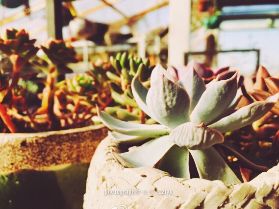 北京最浪漫的咖啡店,北京情人节约会餐厅推荐