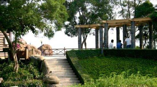 厦门慢生活惬意悠哉,厦门悠闲一日游