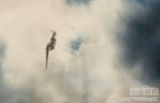 龙存在的证据大全,古代龙真实存在吗